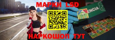 амф Шахты