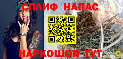 стафф Шебекино