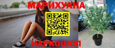 амф Шахты